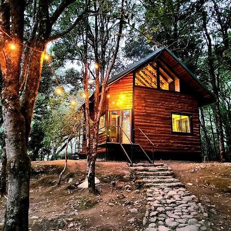 Unicorn Lodge: Direct Riverfront : Unique Experience San Gerardo de Dota Luaran gambar