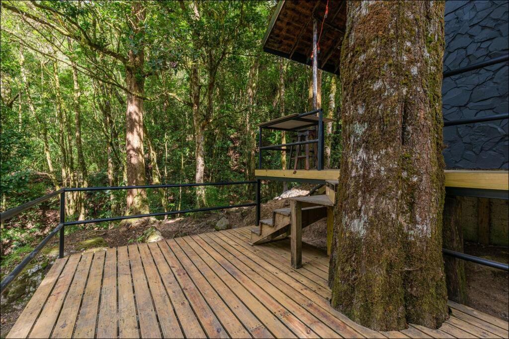 Unicorn Lodge: Direct Riverfront : Unique Experience San Gerardo de Dota Luaran gambar