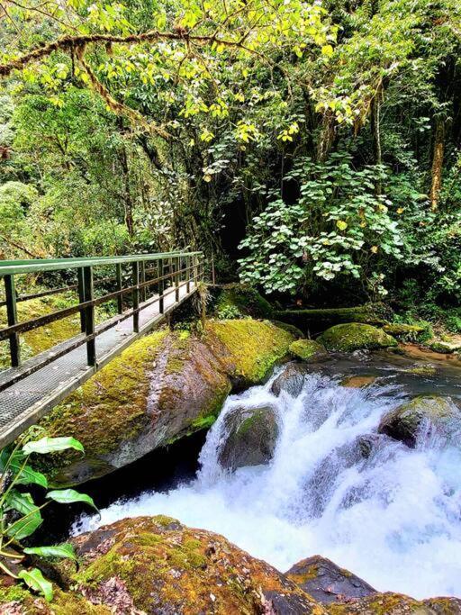 Unicorn Lodge: Direct Riverfront : Unique Experience San Gerardo de Dota Luaran gambar