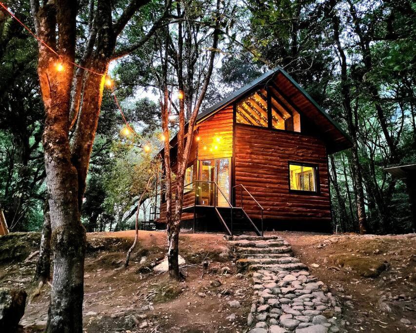 Unicorn Lodge: Direct Riverfront : Unique Experience San Gerardo de Dota Luaran gambar