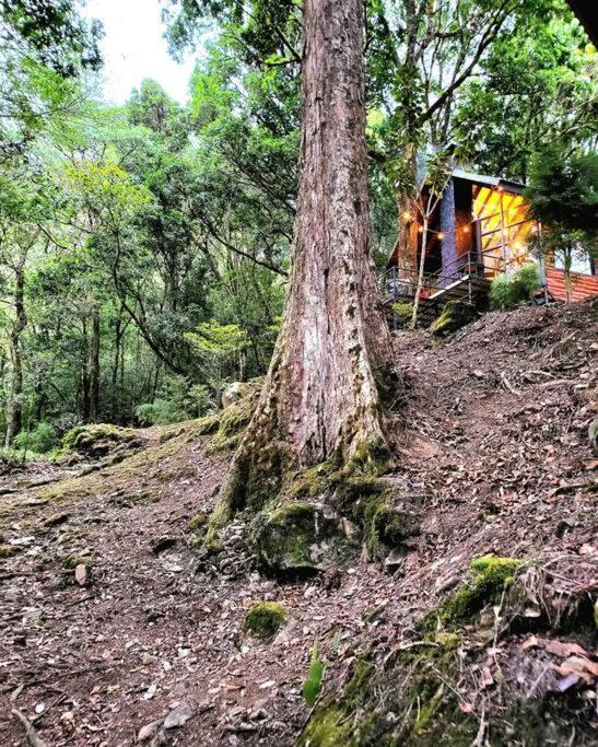 Unicorn Lodge: Direct Riverfront : Unique Experience San Gerardo de Dota Luaran gambar