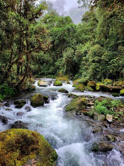 Unicorn Lodge: Direct Riverfront : Unique Experience San Gerardo de Dota Luaran gambar