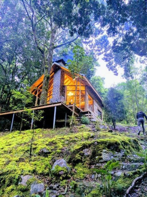 Unicorn Lodge: Direct Riverfront : Unique Experience San Gerardo de Dota Luaran gambar