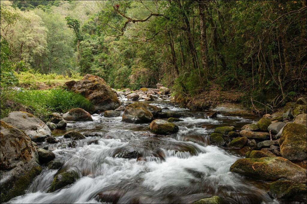 Unicorn Lodge: Direct Riverfront : Unique Experience San Gerardo de Dota Luaran gambar