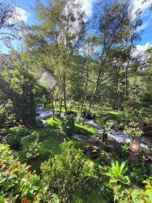 Unicorn Lodge: Direct Riverfront : Unique Experience San Gerardo de Dota Luaran gambar