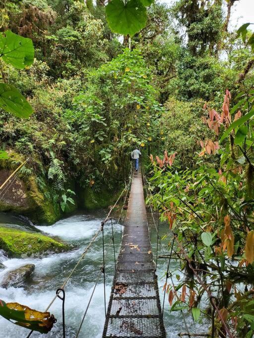 Unicorn Lodge: Direct Riverfront : Unique Experience San Gerardo de Dota Luaran gambar