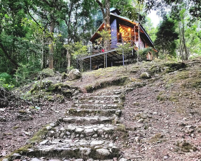 Unicorn Lodge: Direct Riverfront : Unique Experience San Gerardo de Dota Luaran gambar