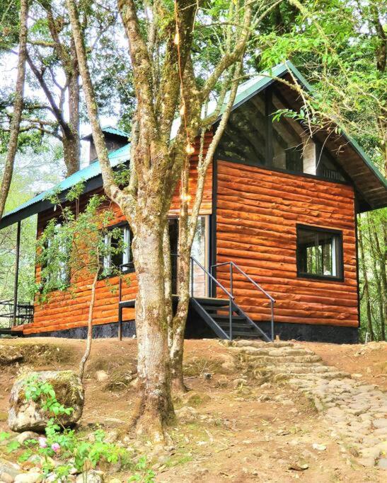 Unicorn Lodge: Direct Riverfront : Unique Experience San Gerardo de Dota Luaran gambar