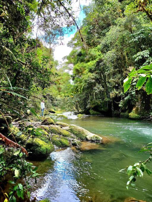 Unicorn Lodge: Direct Riverfront : Unique Experience San Gerardo de Dota Luaran gambar