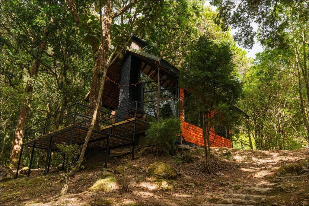 Unicorn Lodge: Direct Riverfront : Unique Experience San Gerardo de Dota Luaran gambar