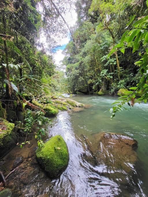Unicorn Lodge: Direct Riverfront : Unique Experience San Gerardo de Dota Luaran gambar